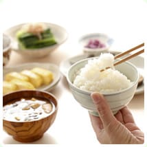 栄養的要素へのアプローチ